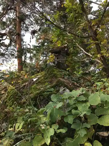 大石神社の自然