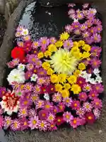 大鏑神社の手水舎