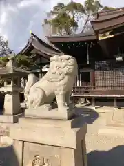 荒井神社の狛犬