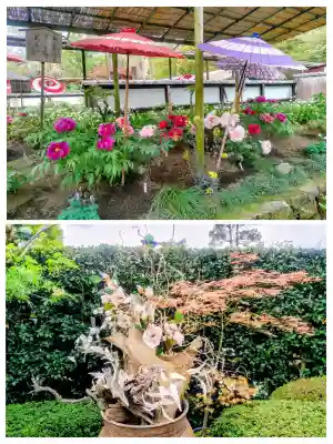 上野東照宮の{uncategorized: "未分類", other: "その他", undefined: "問題あり", building: "その他建物", grave: "お墓", sacred_gate: "鳥居", guardian: "狛犬", statue: "像", buddha: "仏像", history: "歴史", nature: "自然", garden: "庭園", animal: "動物", pagoda: "塔", temizu: "手水舎", mountain_gate: "山門・神門", sanctuary: "本殿・本堂", subordinate: "末社・摂社", art: "芸術", scenery: "景色", jizo: "地蔵", ema: "絵馬", goshuin: "御朱印", omikuji: "おみくじ", items: "授与品その他", amulet: "お守り", goshuincho: "御朱印帳", eats: "食事", festival: "お祭り", votive_dance: "神楽", shichigosan: "七五三参", wedding: "結婚式", experience: "体験その他", initially: "初詣", around: "周辺", anti_infection: "感染症対策"}