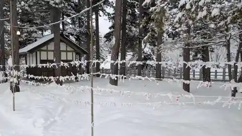 上川神社のおみくじ