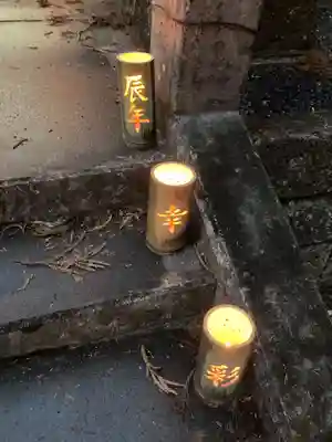 下野 星宮神社の初詣