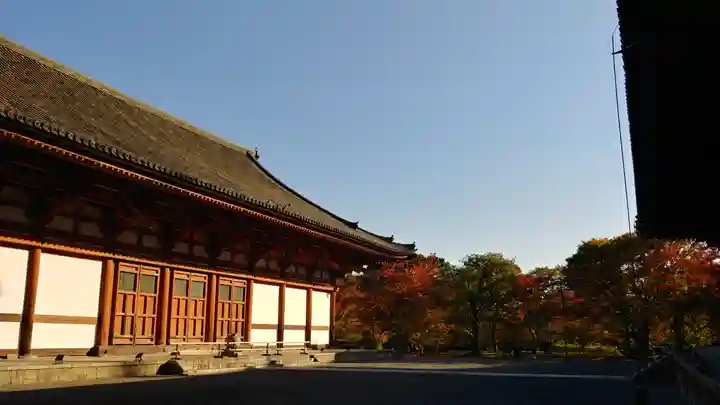 東寺(教王護国寺)の本殿・本堂