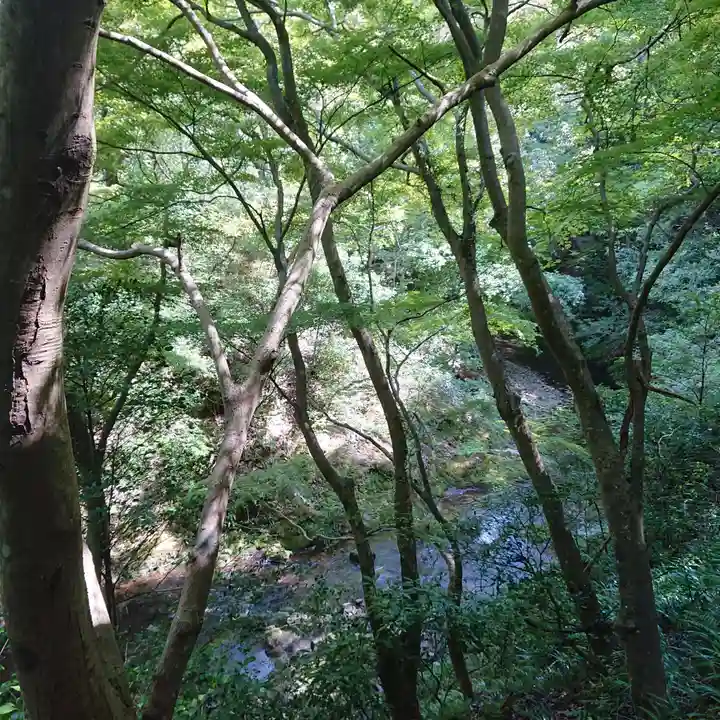 道陸神社(大阪府)