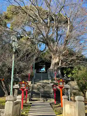 常陸第三宮 吉田神社のその他建物