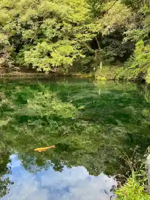 涌釜神社(栃木県)