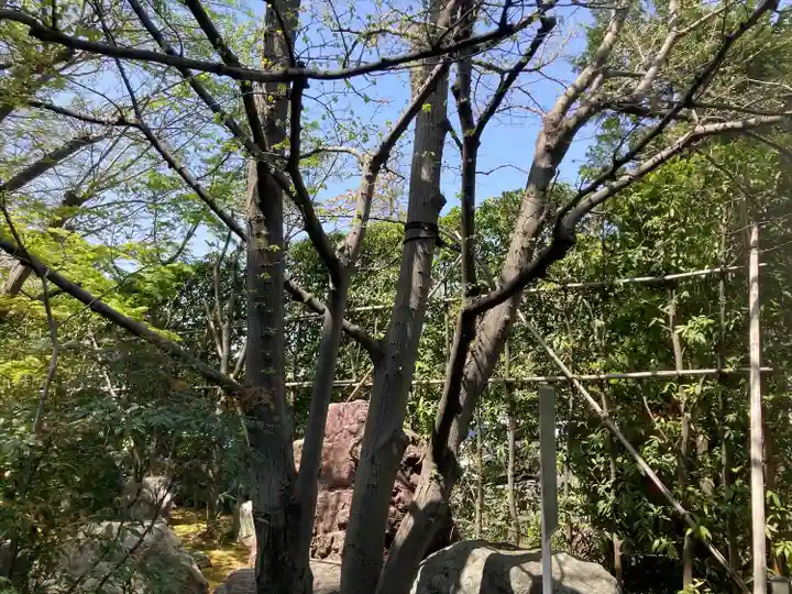 浄光明寺(神奈川県)