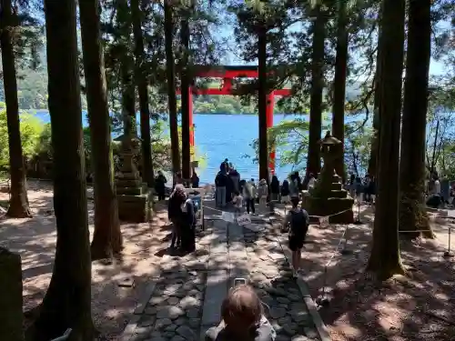 箱根神社の{uncategorized: "未分類", other: "その他", undefined: "問題あり", building: "その他建物", grave: "お墓", sacred_gate: "鳥居", guardian: "狛犬", statue: "像", buddha: "仏像", history: "歴史", nature: "自然", garden: "庭園", animal: "動物", pagoda: "塔", temizu: "手水舎", mountain_gate: "山門・神門", sanctuary: "本殿・本堂", subordinate: "末社・摂社", art: "芸術", scenery: "景色", jizo: "地蔵", ema: "絵馬", goshuin: "御朱印", omikuji: "おみくじ", items: "授与品その他", amulet: "お守り", goshuincho: "御朱印帳", eats: "食事", festival: "お祭り", votive_dance: "神楽", shichigosan: "七五三参", wedding: "結婚式", experience: "体験その他", initially: "初詣", around: "周辺", anti_infection: "感染症対策"}