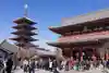 浅草寺(東京都)