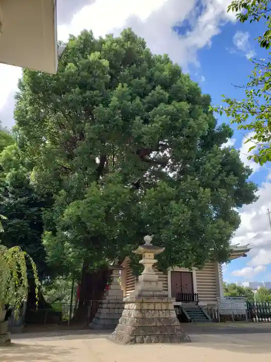 諏訪神社(東京都)