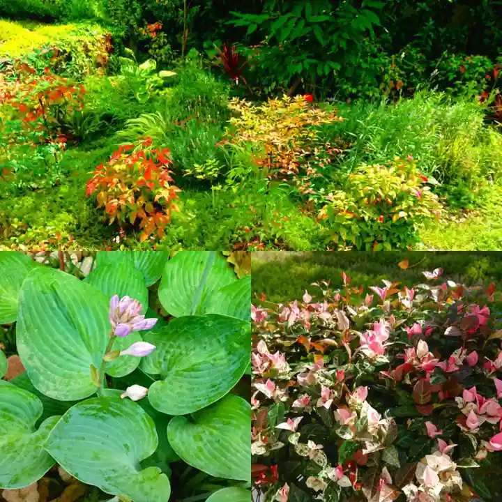 寿量山 速成寺(奈良県)