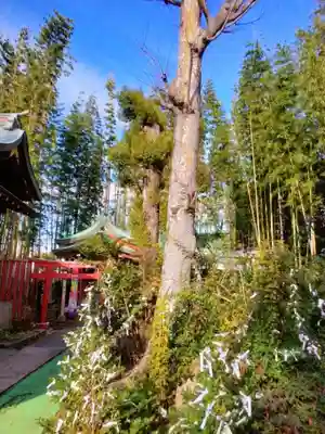 鷺宮八幡神社(東京都)