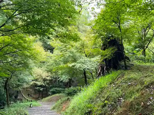 高台寺（高台寿聖禅寺・高臺寺）(京都府)
