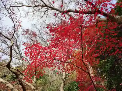 浄妙寺(神奈川県)