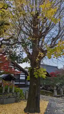 本法寺(京都府)