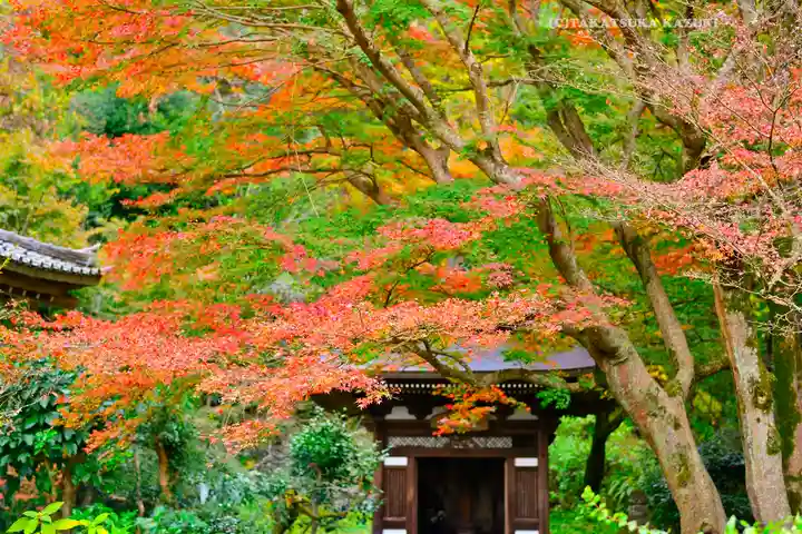 円覚寺(神奈川県)