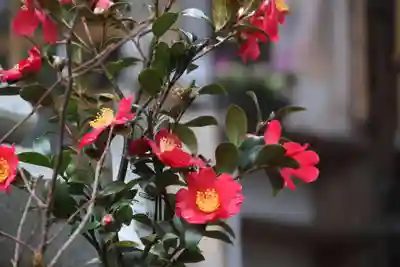 高司神社〜むすびの神の鎮まる社〜の授与品その他