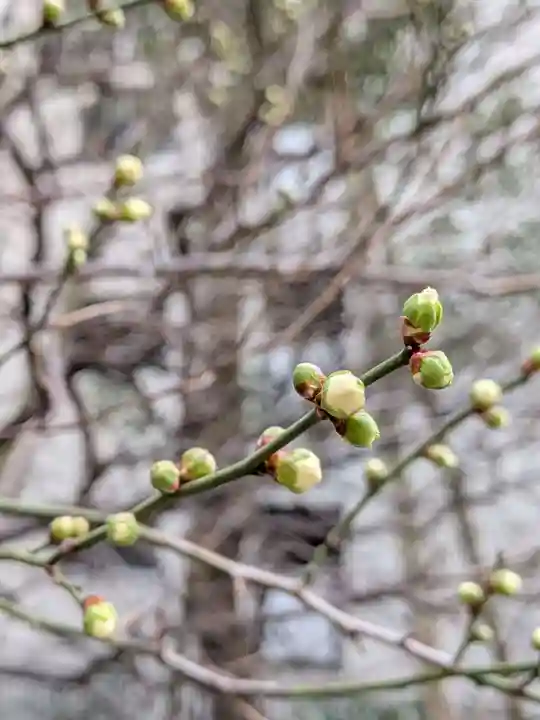 銀世界稲荷神社(東京都)