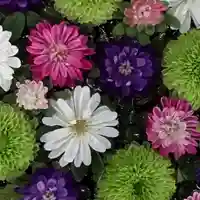 帯廣神社の手水舎