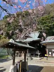 根岸八幡神社(神奈川県)