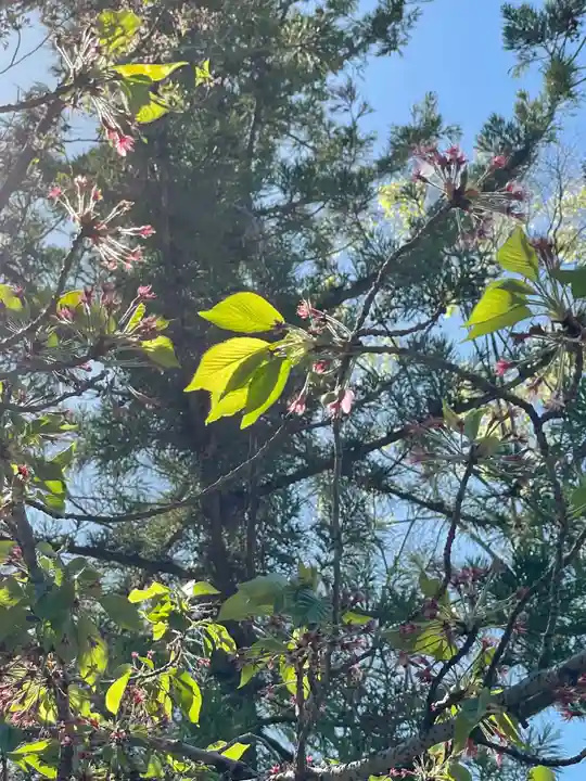伊勢の国 四天王寺の自然