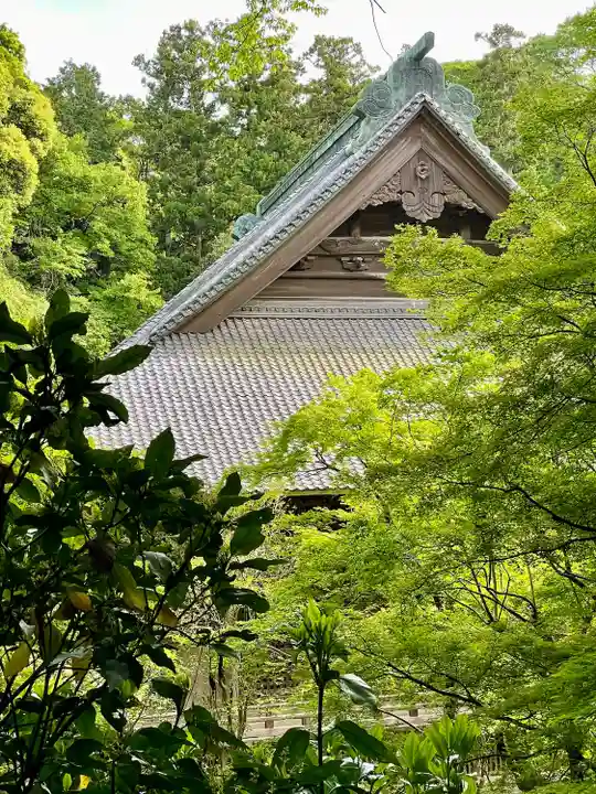 妙本寺(神奈川県)