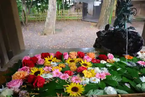 世田谷八幡宮の手水