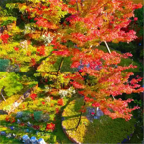 寿量山　速成寺の自然