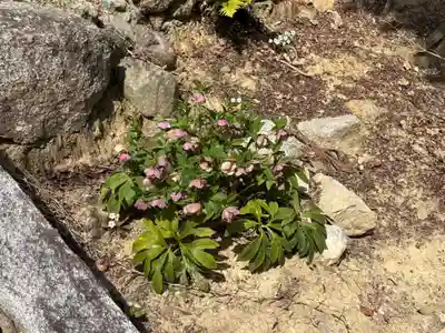 大門寺(大阪府)