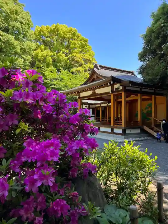 阿佐ヶ谷神明宮の自然