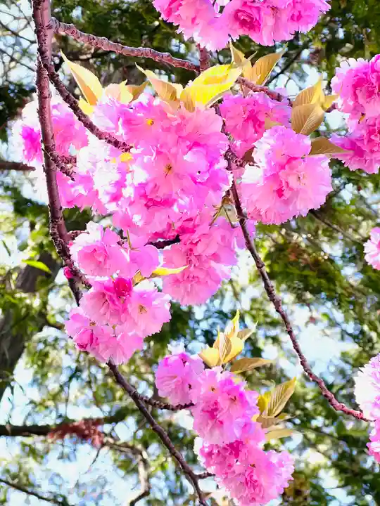 青蓮院門跡(京都府)