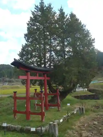 津島神社(愛知県)