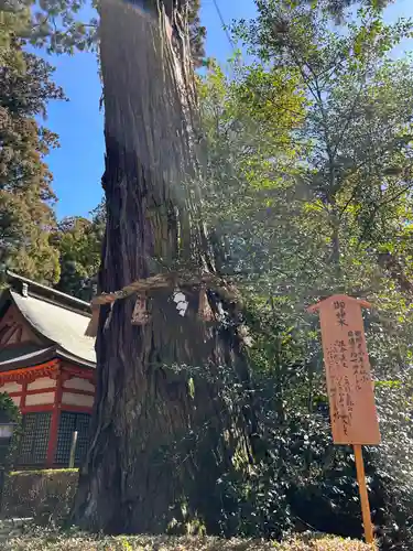 香取神宮(千葉県)