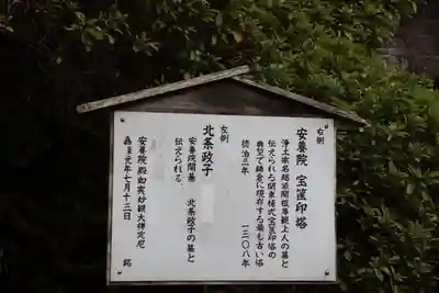 安養院　(田代寺）の歴史
