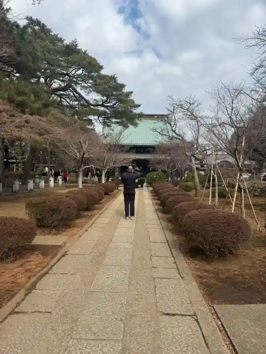 豪徳寺の{uncategorized: "未分類", other: "その他", undefined: "問題あり", building: "その他建物", grave: "お墓", sacred_gate: "鳥居", guardian: "狛犬", statue: "像", buddha: "仏像", history: "歴史", nature: "自然", garden: "庭園", animal: "動物", pagoda: "塔", temizu: "手水舎", mountain_gate: "山門・神門", sanctuary: "本殿・本堂", subordinate: "末社・摂社", art: "芸術", scenery: "景色", jizo: "地蔵", ema: "絵馬", goshuin: "御朱印", omikuji: "おみくじ", items: "授与品その他", amulet: "お守り", goshuincho: "御朱印帳", eats: "食事", festival: "お祭り", votive_dance: "神楽", shichigosan: "七五三参", wedding: "結婚式", experience: "体験その他", initially: "初詣", around: "周辺", anti_infection: "感染症対策"}