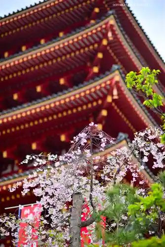 高幡不動尊　金剛寺(東京都)