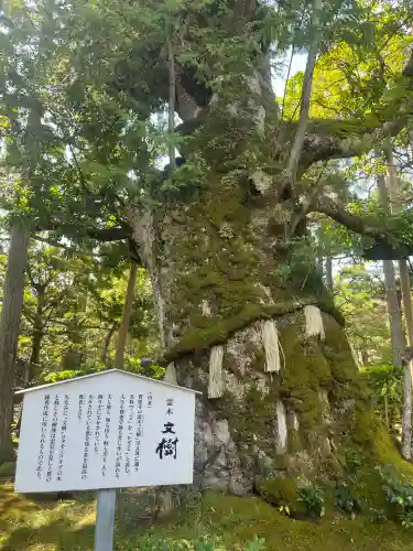 智恩寺(京都府)