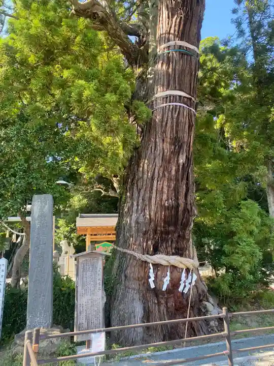 大國魂神社(福島県)
