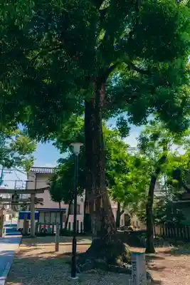 穴太神社(大阪府)