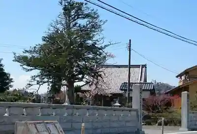 修行院のその他建物