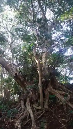 八幡神社の自然