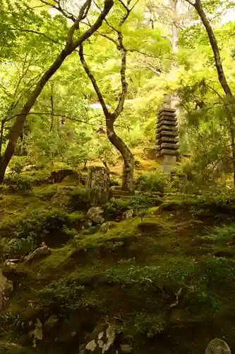 常寂光寺(京都府)