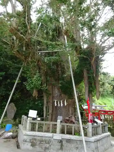 海南神社の自然