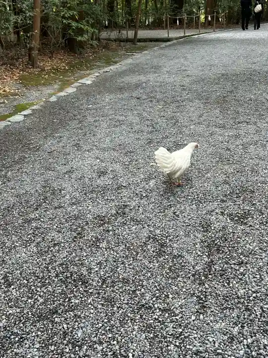 伊勢神宮外宮(豊受大神宮)(三重県)