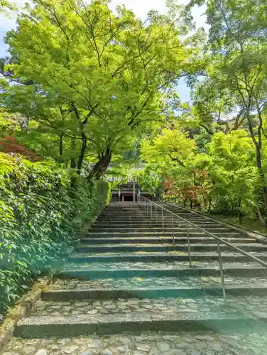 禅林寺（永観堂）(京都府)
