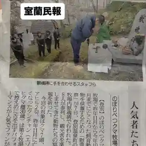 成田山瀧泉寺(北海道)(2025年11月10日(月) 15時57分07秒投稿)