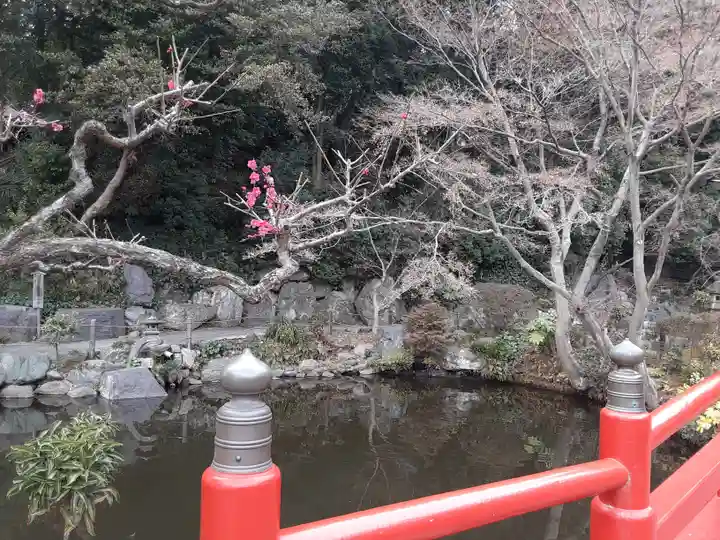 貫井神社(東京都)