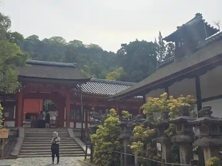 春日大社(奈良県)