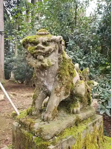 栴壇野神社の狛犬