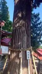 鼬幣稲荷神社(岩手県)